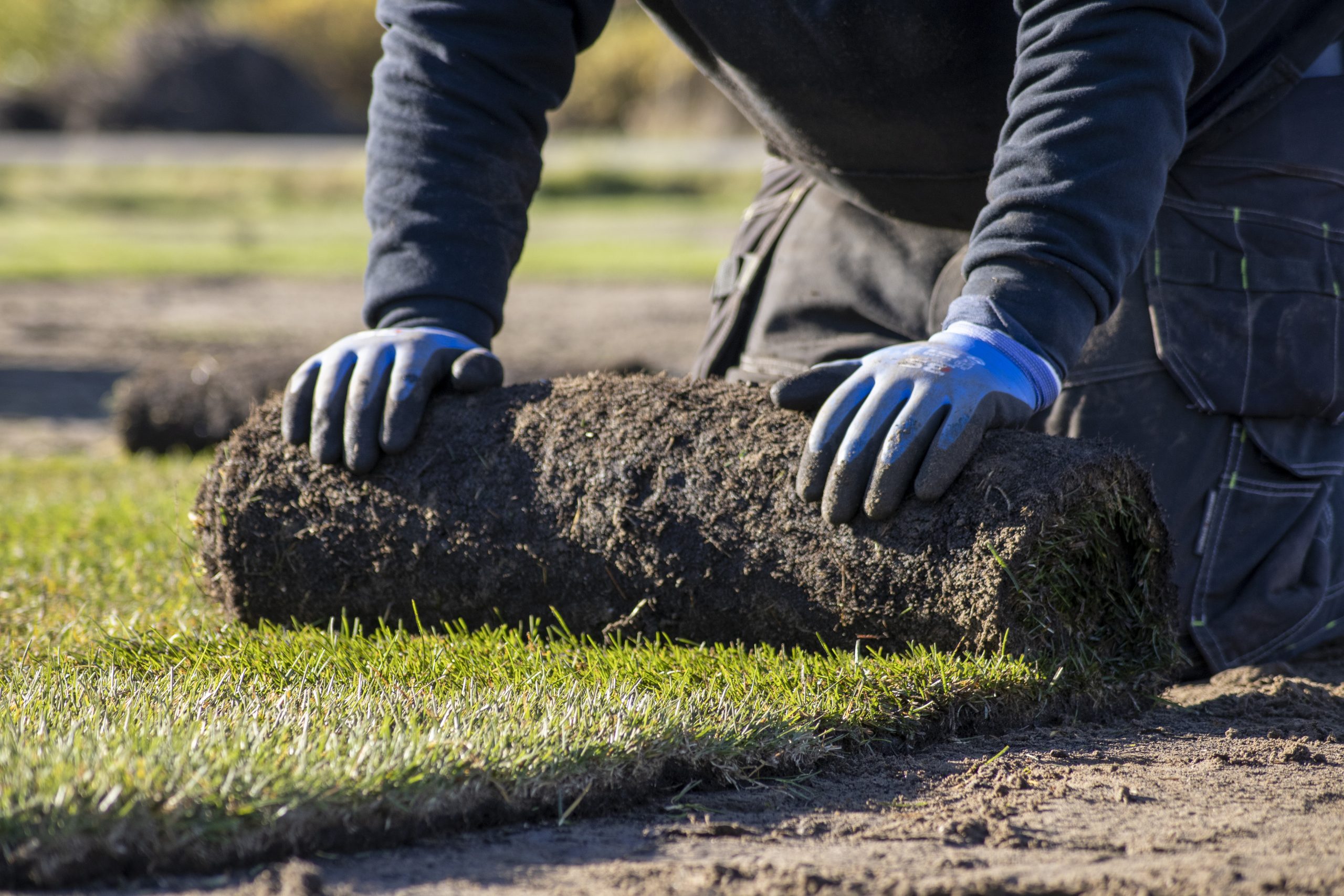 Green Team Gartenpflege in Berlin – professionelle Pflege von Grünanlagen