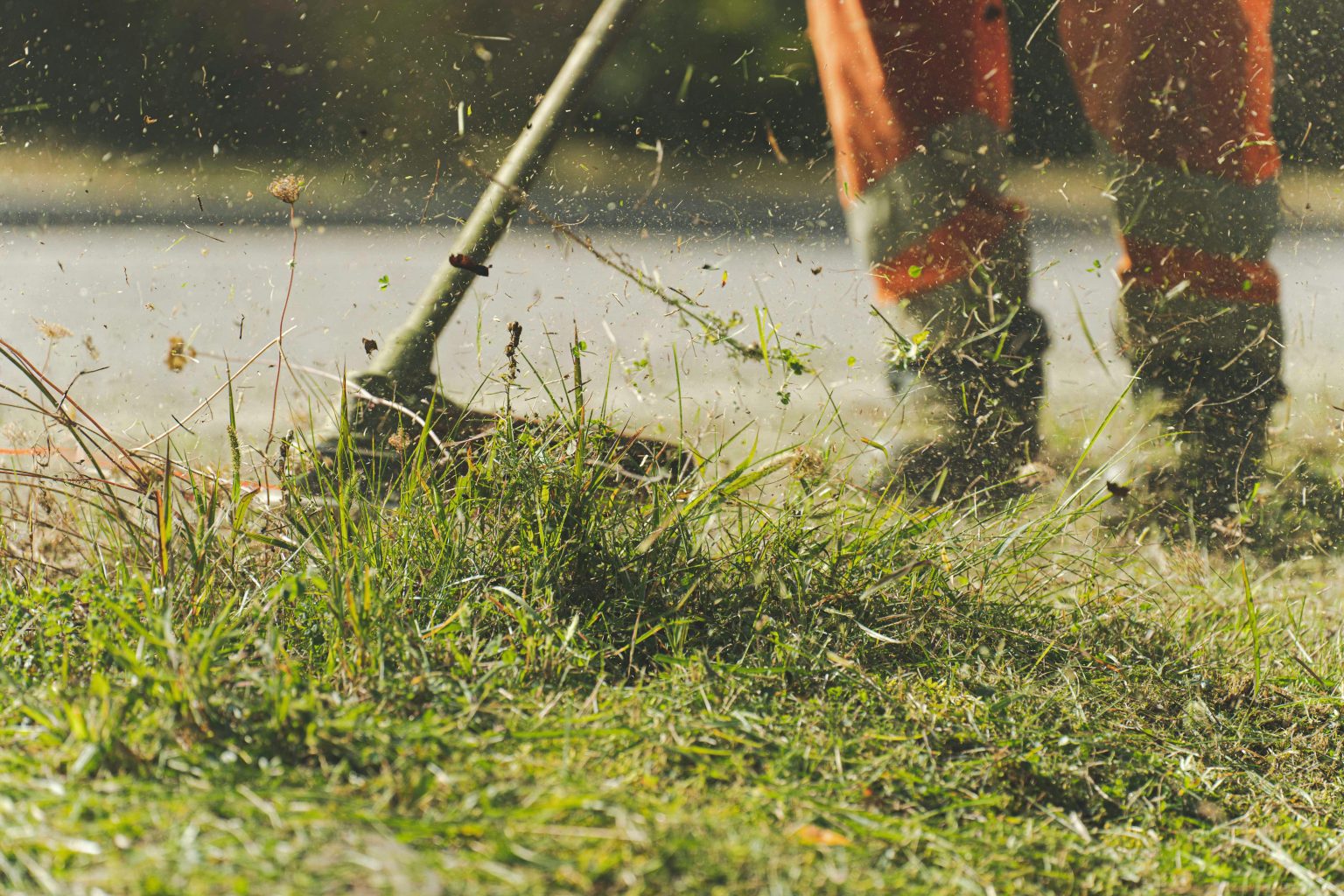 Nachhaltige Gartenpflege durch Green Team Berlin