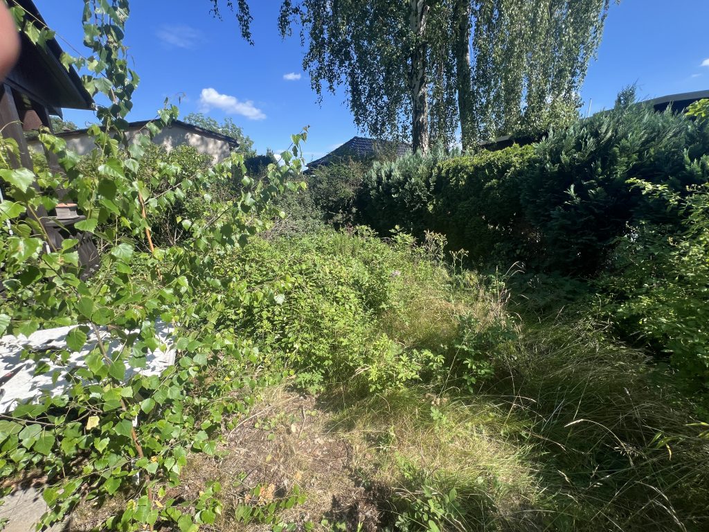 Wildwuchs und Unkraut nachhaltig beseitigen im Strebergarten Berlin