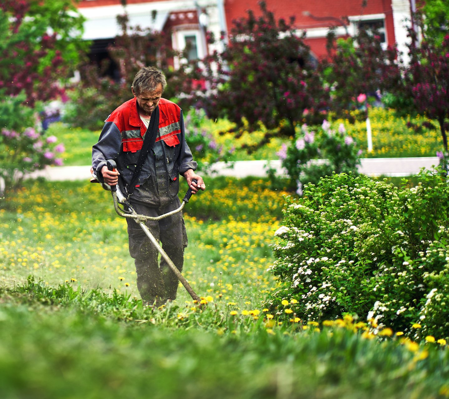 Green Team Gartenpflege