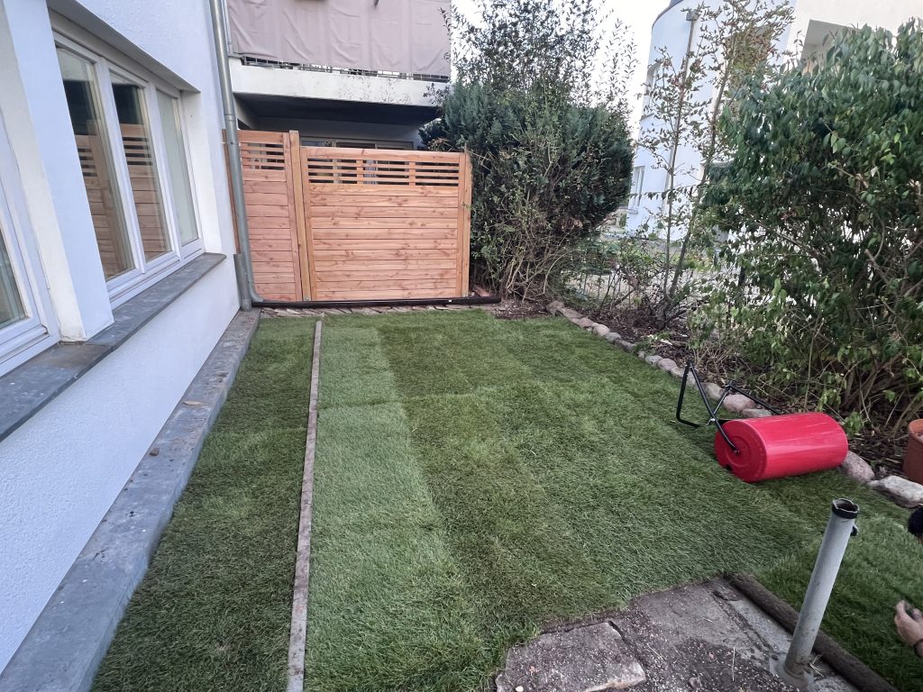 Rollrasen verlegen Berlin – grüne Wohlfühloase im Garten